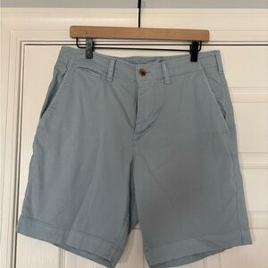 American Eagle Outfitters Men's Sky Blue Flat Front Shorts